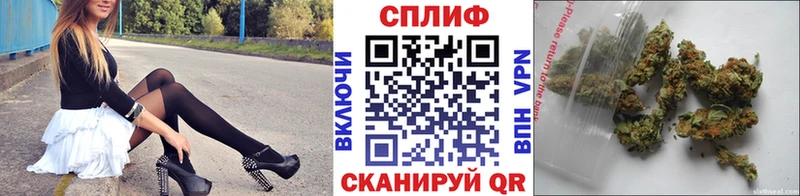 площадка формула  Клин  Бошки марихуана VHQ 